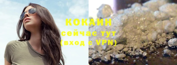 прущие грибы Карпинск