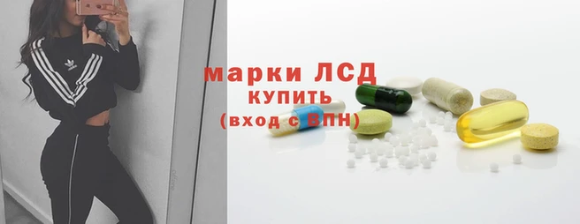 ГАЛЛЮЦИНОГЕННЫЕ ГРИБЫ Карталы