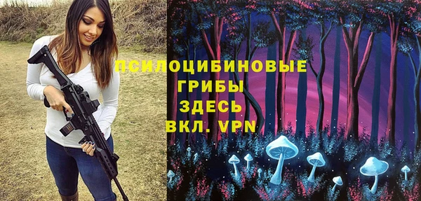 прущие грибы Карпинск