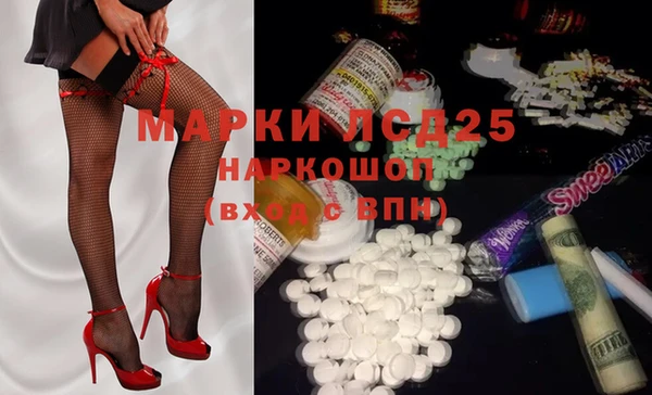 ГАЛЛЮЦИНОГЕННЫЕ ГРИБЫ Карталы
