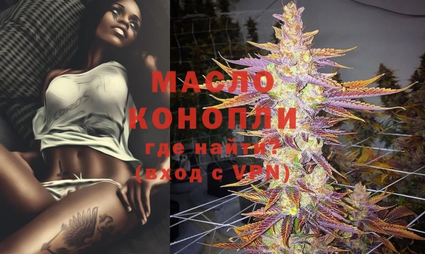 молекула духа Касимов