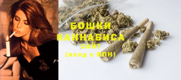 ГАЛЛЮЦИНОГЕННЫЕ ГРИБЫ Карталы